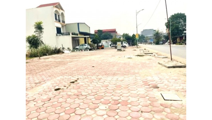 124m2 Đất đấu giá Giai Phạm, xã Nguyễn Văn Linh, sát KCN Phố Nối A, tiềm năng X2 nhanh.
