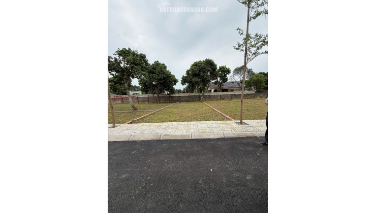 Bán đất tại Xã Cổ Đông, 2,8 tỷ, 100m2, vị trí đẹp, tiềm năng phát triển