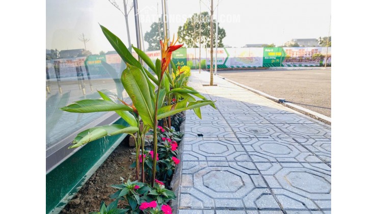 “Giới Đầu Tư Hà Nội Đang Âm Thầm Săn Đất Nền Hòa Lạc Vì Điều Này!”