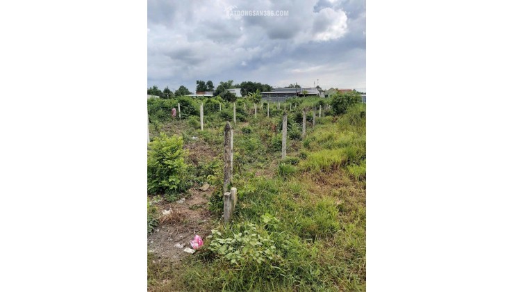 ĐẤT ĐẸP – GIÁ TỐT – CHÍNH CHỦ CẦN BÁN ĐẤT Tại Đường 130,  Xã Tân Thạnh Đông, Củ Chi, Hồ Chí Minh