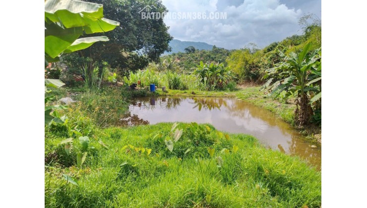 HOT HOT – BÁN VƯỜN VIEW ĐẸP – CÓ NHÀ GỖ KIÊN CỐ Tại Xã Lộc Nam, Huyện Bảo Lâm, Tỉnh Lâm Đồng