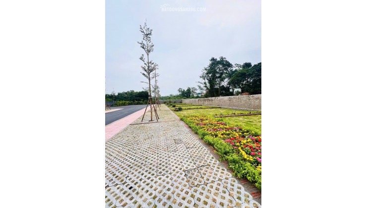 TrendingXXX 100 m2 đất thổ cư - Ngay Ngã tư chợ hòa lạc
- MT 6,8m