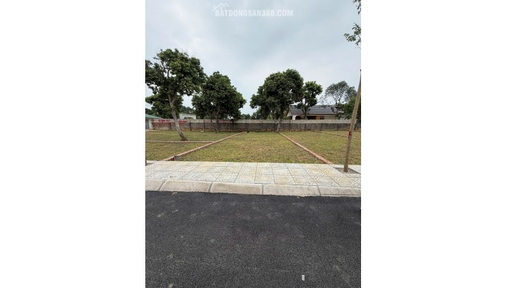 Bán đất tại Xã Cổ Đông, 2,8 tỷ, 100m2, vị trí đẹp, tiềm năng phát triển
