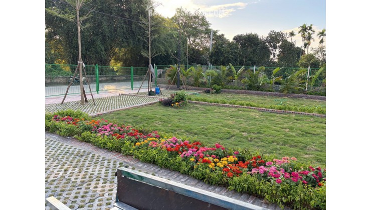 Bán đất gần chợ Hòa Lạc, 35 triệu / m2, 100m2 giá cực chất