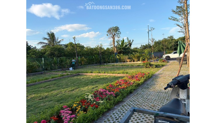 Bán đất gần chợ Hòa Lạc, 35 triệu / m2, 100m2 giá cực chất