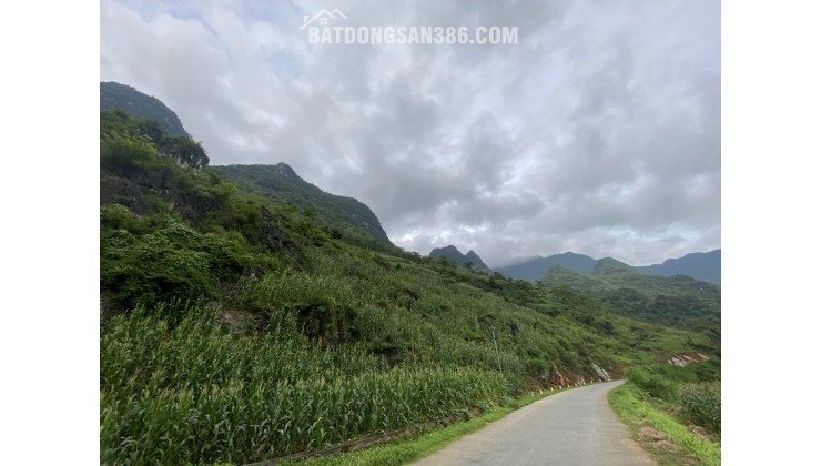 CẮT LỖ LÔ ĐẤT TRỤC ĐƯỜNG TL181 CÁN TỶ - HÀ GIANG