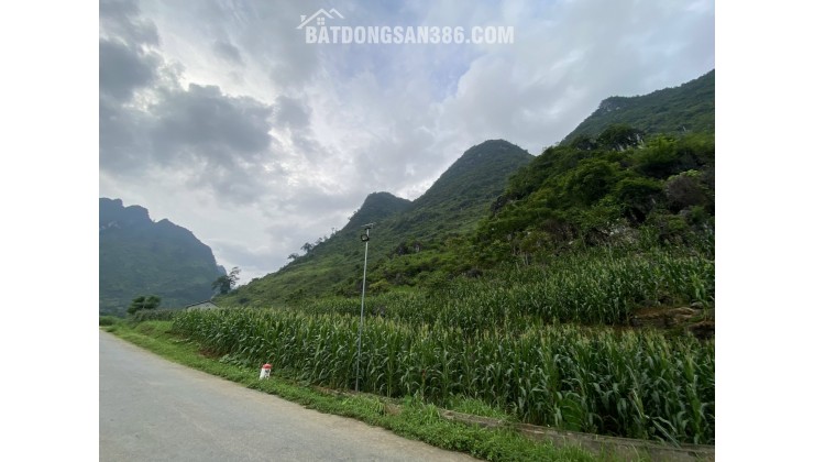CẮT LỖ LÔ ĐẤT TRỤC ĐƯỜNG TL181 CÁN TỶ - HÀ GIANG