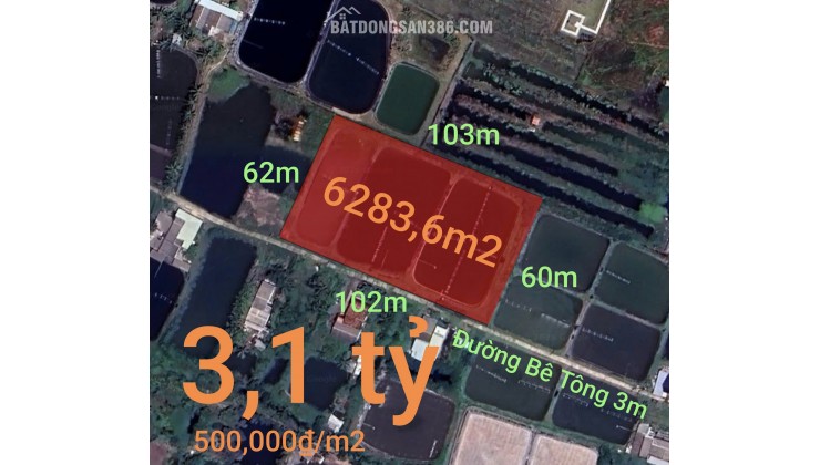 Bán gấp lô lúa chuyển thổ phân lô giá đầu tư 3,1 tỷ