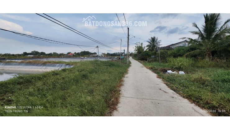 Bán gấp lô lúa chuyển thổ phân lô giá đầu tư 3,1 tỷ