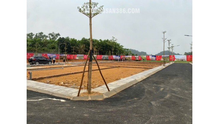 CHÁY HÀNG KHU ĐẤT CẠNH TRƯỜNG ĐH VÀ QUỐC LỘ 80M