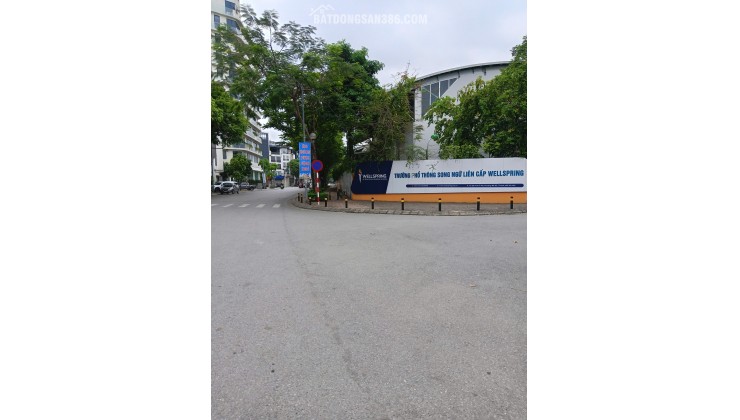 Hàng hiếm phố Ái Mộ - Long Biên - HN.