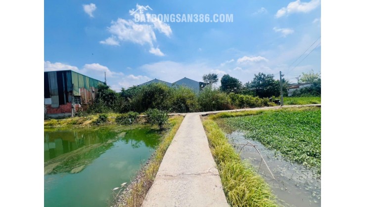 CHỦ ĐẤT CẦN BÁN  GẤP 2 MIẾNG ĐẤT BÌNH CHÁNH ẤP 3 TÂN QÚI TÂY. LH:0909304773.