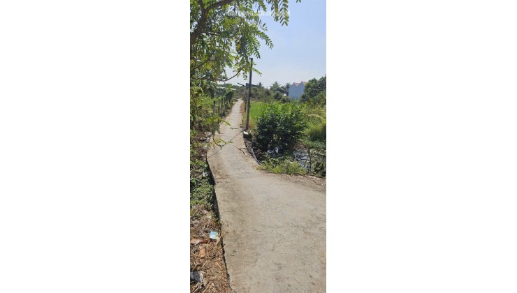 CHỦ ĐẤT CẦN BÁN  GẤP 2 MIẾNG ĐẤT BÌNH CHÁNH ẤP 3 TÂN QÚI TÂY. LH:0909304773.