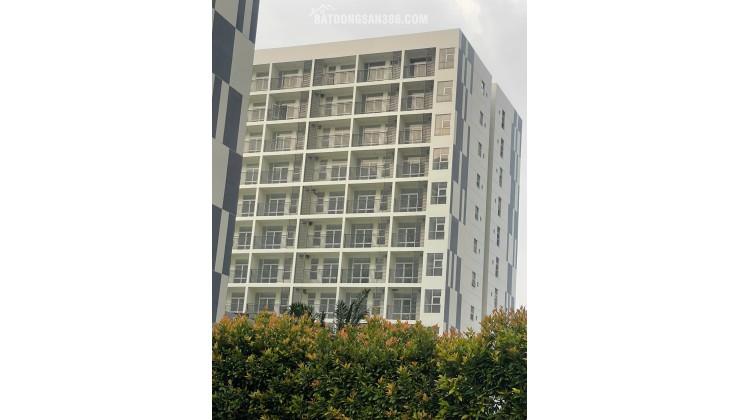 BÁN NHÀ Ở XÃ HỘI 116 LÝ CHIÊU HOÀNG, DT 50M2 (2PN,1VS) SHR CHỈ 1.6 TỶ. LH:0933799899