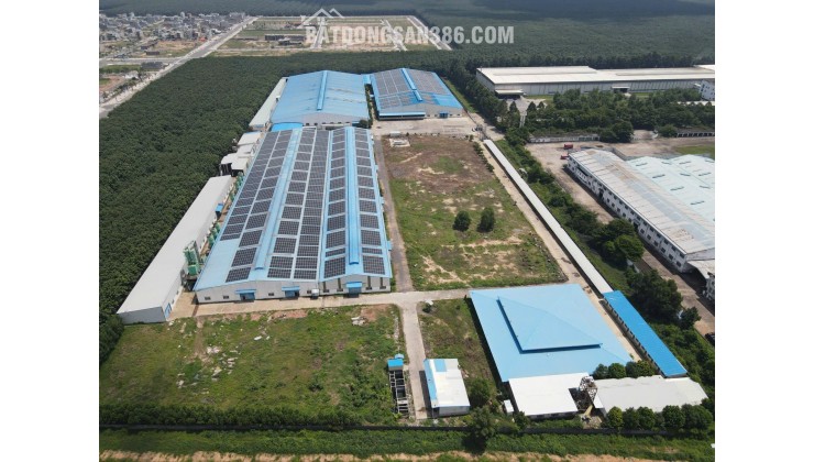 XT113 cho thuê nhà xưởng sản xuất thu hút nhiều ngành nghề, khuôn viên sân bãi rộng