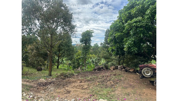 Cơ hội hiếm có: 472m² full thổ cư ngay trung tâm Đắk Mar!