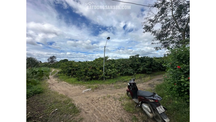 Vị trí 