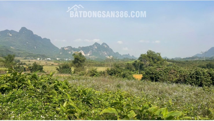Đất Cao Phong Giá SỐC Chỉ Dưới 1 Triệu/m² Sở Hữu 6000m² View Cánh Đồng cách QL6 chưa đến 1km
