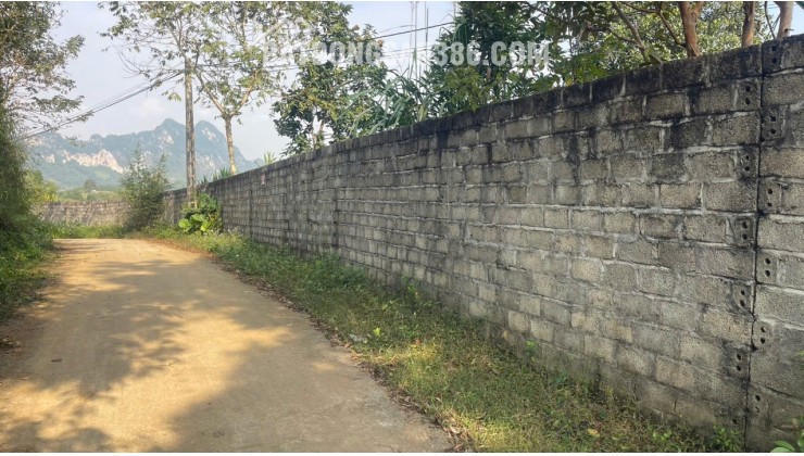 Đất Cao Phong Giá SỐC Chỉ Dưới 1 Triệu/m² Sở Hữu 6000m² View Cánh Đồng cách QL6 chưa đến 1km