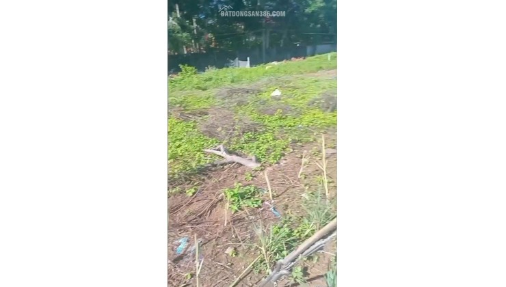 CHÍNH CHỦ BÁN 504,5M2 ĐẤT MẶT TIỀN LỘ BÊ TÔNG ÔTÔ TRUNG TÂM TRẦN ĐỀ LH:0336067426.