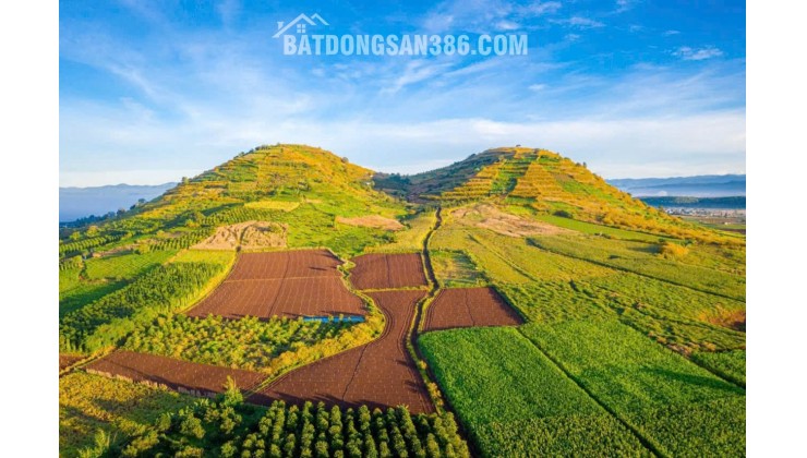 Bán 3500m² đất view đẹp tại dốc Trời, Lâm Hà, Lâm Đồng