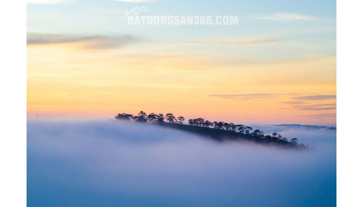 Cần bán đất đẹp trung tâm lõi Đà Lạt, ngay sát khu trung tâm Phan Đình Phùng, chợ Ngô Quyền, view săn mây đón bình minh đẹp nhất thế giới.