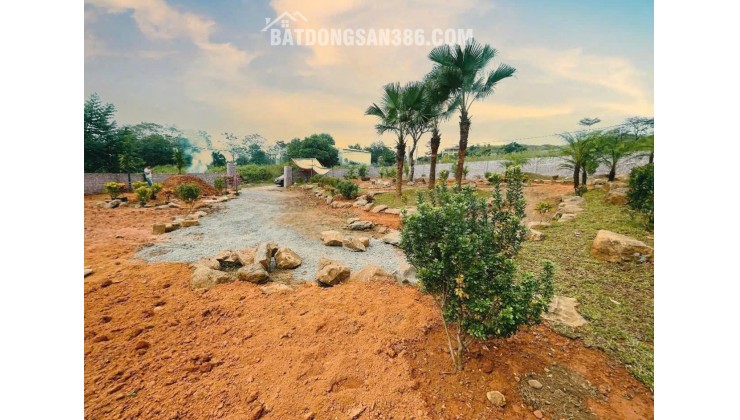 BÁN NHANH GIÁ ĐẦU TƯ 14TR 863M YÊN XUÂN QUỐC OAI SÁT TRỤC CHÍNH VIEW THOÁNG MÁT ĐƯỜNG 3 ÔTÔ