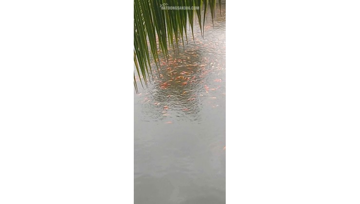 BÁN ĐẤT XÃ BÌNH LỢI - BÌNH CHÁNH, 10.387M2 SẴN 2 SỔ HỒNG CHỈ 2 TỶ/1000M2. LH:0978435476.