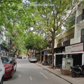 Liên Kề VIP Phân Lô Ô Tô - Khu Cán Bộ Trung Ương Đảng Trịnh Văn Bô - Đường rộng 3 ô tô tránh