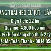 Siêu Trang Trại Heo 22ha - Thu Nhập cho thuê 24 Tỷ/Năm
