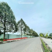 Bán đất mặt tiền đường nhựa sông Cổ Chiên khu trung tâm Trường An, TP. Vĩnh Long