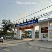 Cắt lỗ lô đất cạnh trường tiểu học cổ đông – chủ cần bán gấp