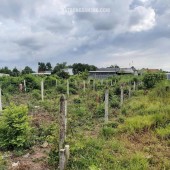 ĐẤT ĐẸP – GIÁ TỐT – CHÍNH CHỦ CẦN BÁN ĐẤT Tại Đường 130,  Xã Tân Thạnh Đông, Củ Chi, Hồ Chí Minh