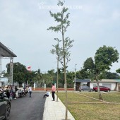Bán đất tại Xã Cổ Đông, 2,8 tỷ, 100m2, vị trí đẹp, tiềm năng phát triển