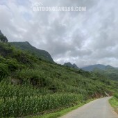 CẮT LỖ LÔ ĐẤT TRỤC ĐƯỜNG TL181 CÁN TỶ - HÀ GIANG