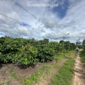 Ngay mặt tiền **Tô Hiến Thành, Đăk Hà, TP. Kon Tum** đây cả nhà ơi!
