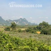 Đất Cao Phong Giá SỐC Chỉ Dưới 1 Triệu/m² Sở Hữu 6000m² View Cánh Đồng cách QL6 chưa đến 1km