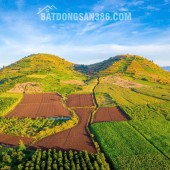 Bán 3500m² đất view đẹp tại dốc Trời, Lâm Hà, Lâm Đồng