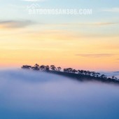 Cần bán đất đẹp trung tâm lõi Đà Lạt, ngay sát khu trung tâm Phan Đình Phùng, chợ Ngô Quyền, view săn mây đón bình minh đẹp nhất thế giới.