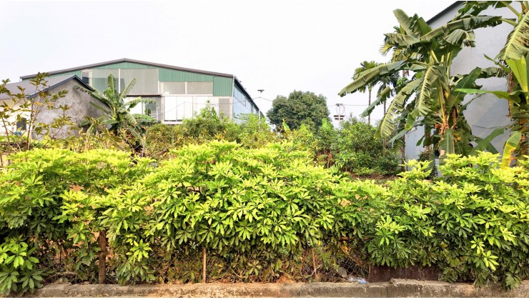 Chỉ 13,5tr.m2. Bán lô đất phú cát, quốc oai, hà nôi.150m2 full thổ cư, mặt tiền 7,5m