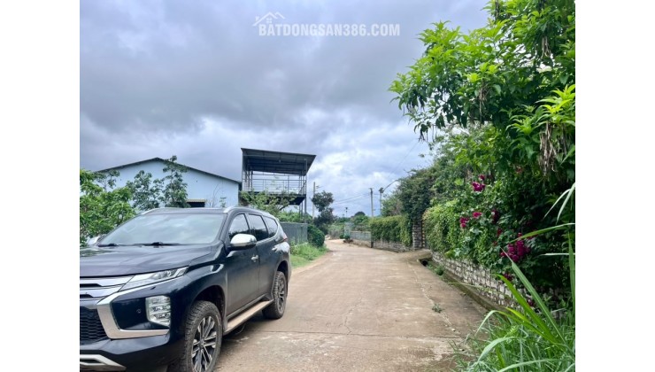 ĐẤT VEN ĐÀ LẠT NỞ HẬU – KHÔNG GIAN YÊN TĨNH PHÙ HỢP LÀM NHÀ VƯỜN NGHỈ DƯỠNG