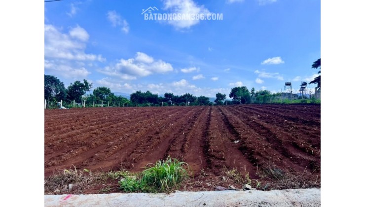 Bán Đất Nam Ban 502m² Thổ Cư 200m² – Sở Hữu View Toàn Cảnh Nam Ban, Đón Trọn Giá Trị Sống Ven Đà Lạt