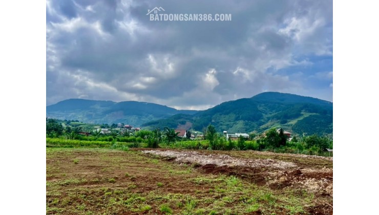 Bán Đất Ven Đà Lạt 466m² Thổ Cư 100m² – View Thoáng, Thế Đất Đẹp, Giá Chỉ 890 Triệu