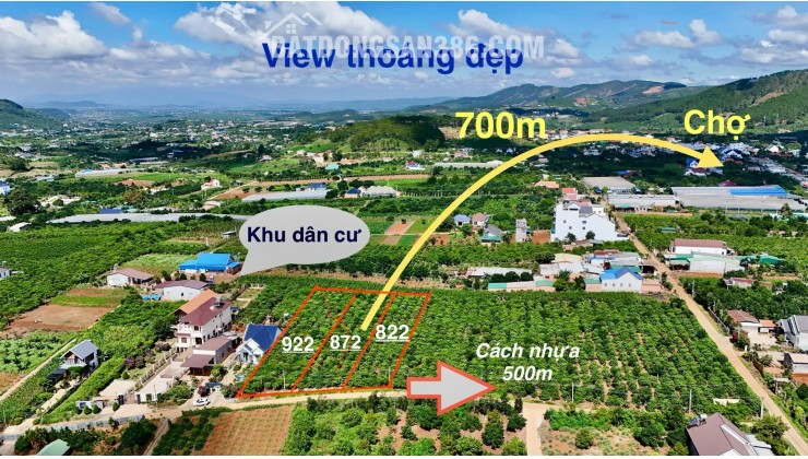 Bán Đất Ven Đà Lạt 872m² Thổ Cư 100m² – View Đồi Núi Đẹp, Giá Chỉ 2,9 Triệu/m²