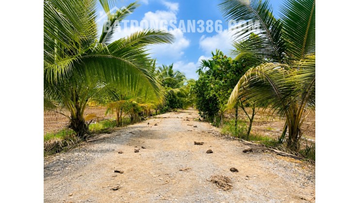 Bán đất chính chủ 300m² (10x30) full thổ cư tại Hựu Thạnh, gần Đại học Tân Tạo, KCN Tân Đức, xe hơi tới đất