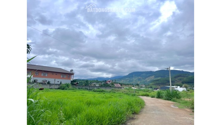 ĐẤT VEN ĐÀ LẠT NỞ HẬU – KHÔNG GIAN YÊN TĨNH PHÙ HỢP LÀM NHÀ VƯỜN NGHỈ DƯỠNG