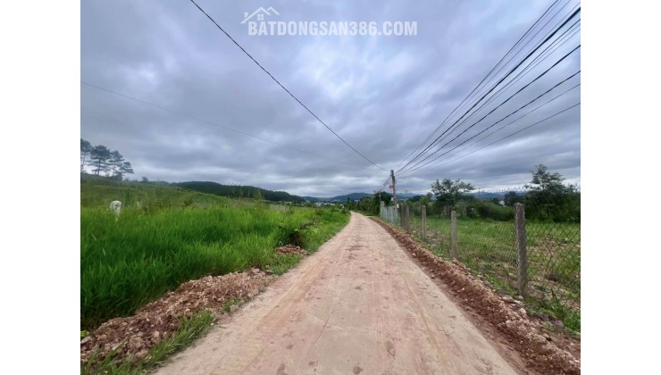ĐẤT NAM BAN NGOẠI Ô ĐÀ LẠT – THỔ CƯ CAO – CẠNH ĐỒI THÔNG PHÙ HỢP NHÀ VƯỜN NGHỈ DƯỠNG