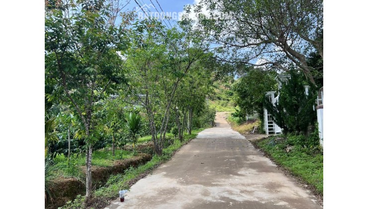 QUỸ ĐẤT HIẾM GIỮA THÔNG XANH KHU BIỆT THỰ GIA LÂM – 501M² CHỈ 1,5 TỶ
