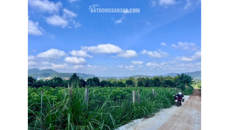 Bán Đất Nam Ban 502m² Thổ Cư 200m² – Sở Hữu View Toàn Cảnh Nam Ban, Đón Trọn Giá Trị Sống Ven Đà Lạt