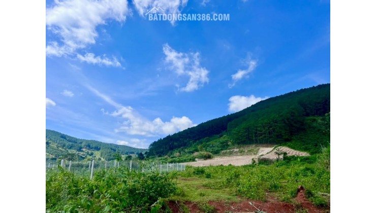 Bán Đất Nền An Sơn Villas 239m² Thổ Cư 150m² – Cơ Hội Đầu Tư Giá Tốt Tại Khu Nghỉ Dưỡng Ven Đà Lạt